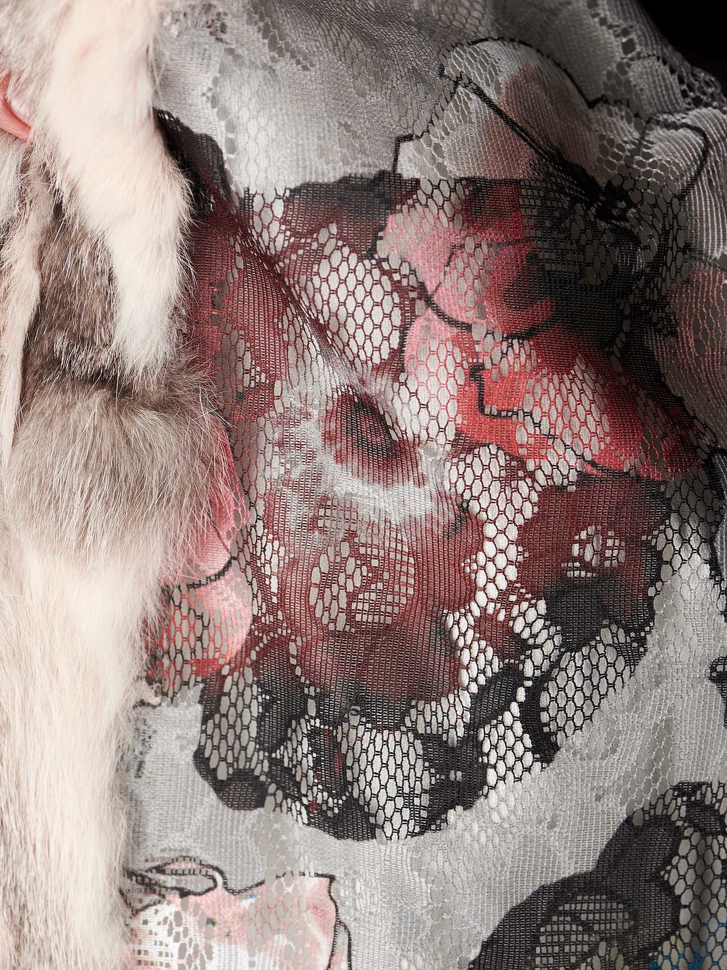 Pink rabbit fur Solleciti